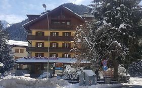 Hotel Pineta